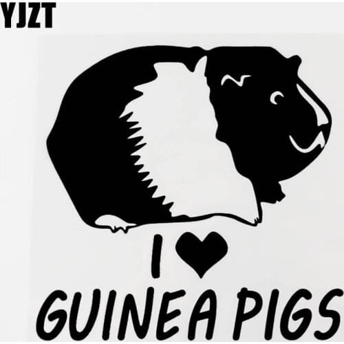 YJZT 15CM×14.3CM Cute Animal Guinea Pigs Vinyl Car Sticker Decal Black/Silver 8C-0502