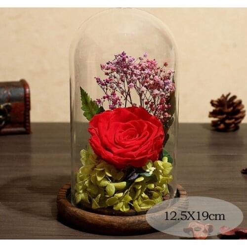 Fresh Preserved Rose Flower Glass Cover Immortal Eternal Rose For Valentines Day Christmas Wedding Birthday
