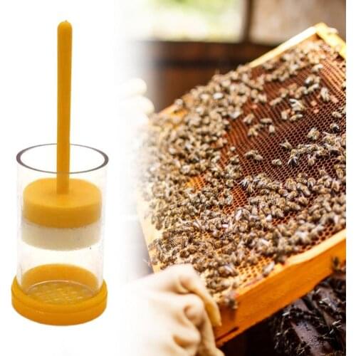 Bee Marking Plunger Transparent Reusable PP Queen Bee Marking Cage for Bee Keeper Beekeeping Tools