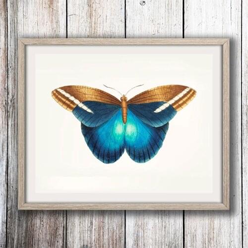 Great Western Butterfly Wall Art Decoration Poster Watercolor Art Print Blue Canvas Painting Nordic Living Room Home Decoration