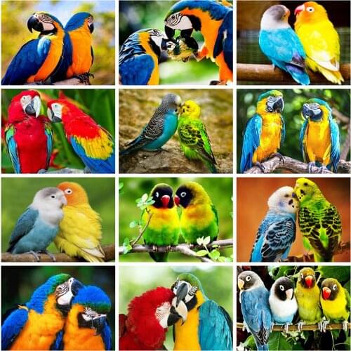 Evershine Full Square Diamond Painting Parrot Animals Diamond Embroidery Sale Mosaic Cross Stitch Kit Home Decor Gifts