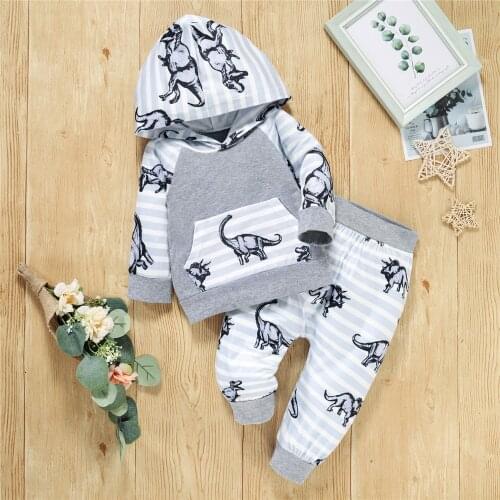 0-24M Baby Boys Warm 2Pcs Outfit Spring Autumn Infant Toddlers Cartoon Dinosaur Printed Long Sleeve Hooded Top + Pants Sets
