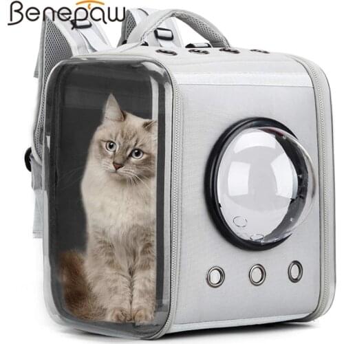 Benepaw Durable Dog Backpack Foldable Ventilate Big Space Transparent Pet Carrier Puppy Cat Bag For Travel Hiking Outdoor Use