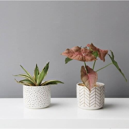 Creative ceramic flowerpot indoor desktop green plant cactus succulent potted geometric balcony home decoration accessories