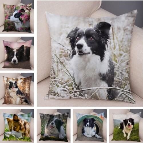 Cute Scotland Border Collie Pillowcase Decor Dog Printed Soft Plush Pillow Case 45*45cm Pet Animal Cushion Cover for Sofa Car