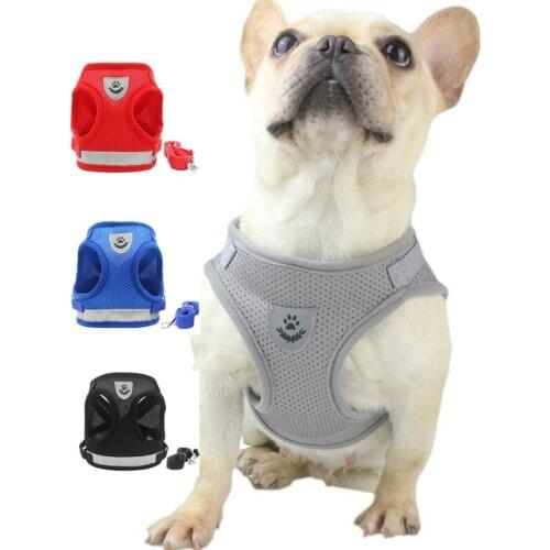 New Spring Summer Pet Harness Cat Dog Walking Vest Adjustable Chest Reflective Breathable Mesh with Pull Rope Leash Accessories