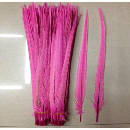 Wholesale 100 PCS / lot of beautiful pink chicken tail feathers 50 to 55 cm 20-22 inches celebration decoration