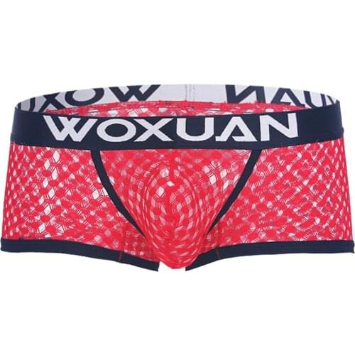 Men Elastic Waistband Low Rise Lingerie Briefs Fishnet Transparent Bulge Pouch Boxer Shorts Cutout Erotic Panties for Nightclub