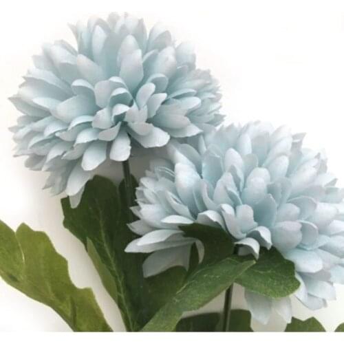 ZeydoMavi Chrysanthemum 2'li 1 Package henna хна для бровей henna powder плетка