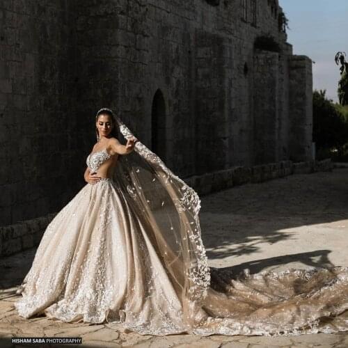 2021 Sexy Tulle Sheer Wedding Dresses Long Sleeves Lace Bridal Wedding Gowns Ivory Long Train Dubai Wedding Party Gown