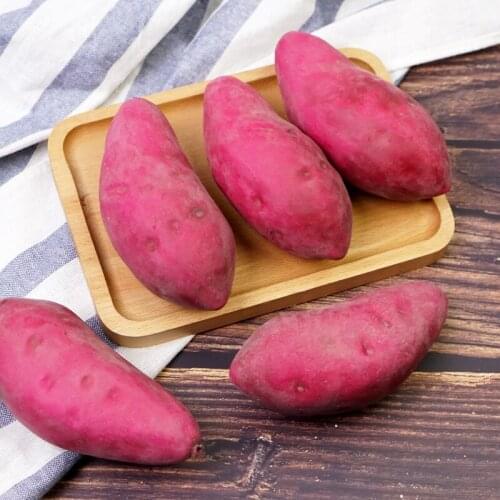 High Imitation Vegetable Imitation Model Window Photography Decoration Early Education Props Simulation Purple Sweet Potato Foam