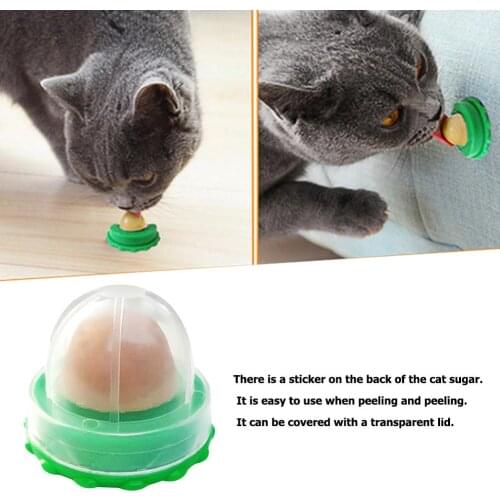 Cat Catnip Licking Candy Snack Increase Drinking for Kitten Help Digestion Sugar