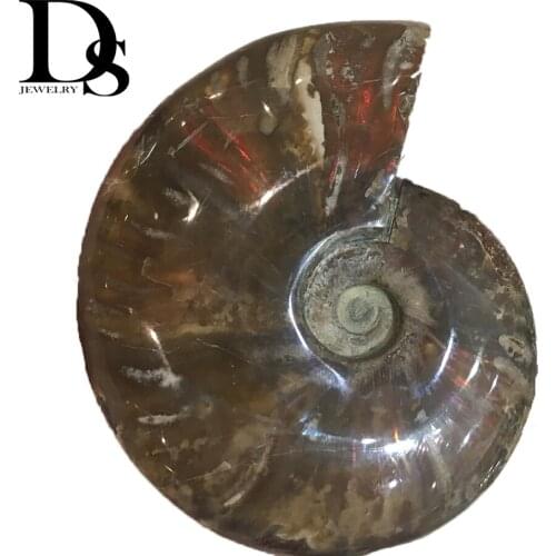 Wholesale High Quality Natural Iridescent Ammonite Fossil Ocean Conch Rainbow Shell Specimen Madagascar MInerals Home Decoration