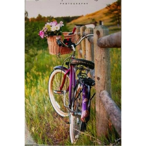 DIY 5d Diamond Embroidery flower full square drill Resin diamond Painting Cross Stitch bicycle Rhinestones Handmade Home Decor