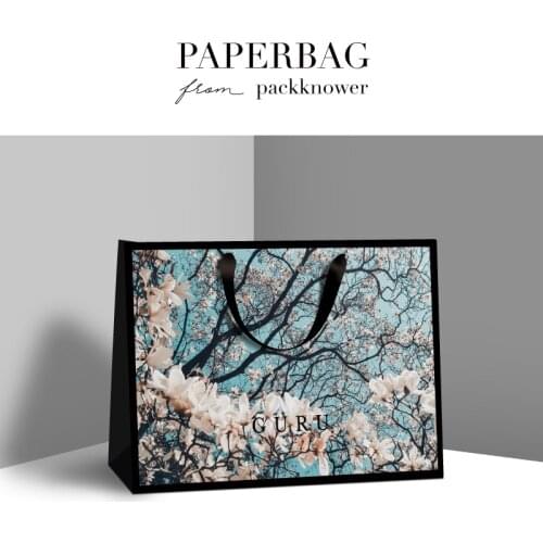 Customized Gift Bags Portable Paper Bags Exquisite Clothing Store Packaging Bags Can Print Logo 10PCS Free Shipping