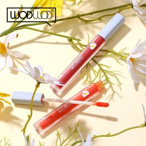 Dream Nourishing Lip Glaze Matte Waterproof Non-Take-off Lipstick Moisturizing Long Lasting Liquid Lipstick TSLM2