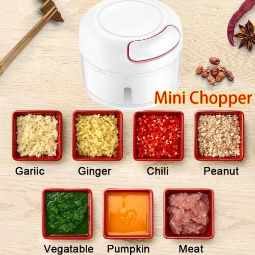 Mini Manual Food Chopper Garlic Grinder Press Mincer Food Processor for Chili Ginger Vegetable Fruits Kitchen Tools