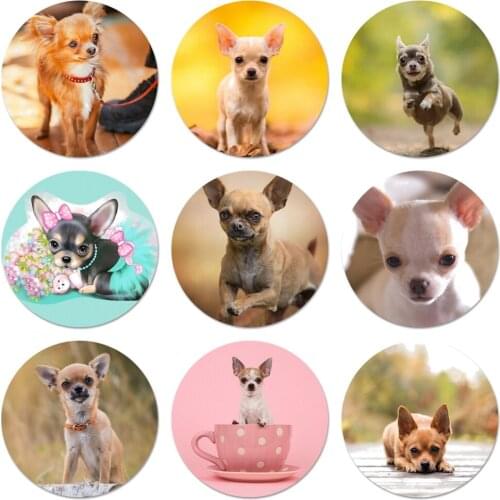 Chihuahua Dog Icons Pins Badge Decoration Brooches Metal Badges For Clothes Backpack Decoration 58mm