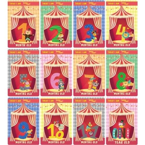 12 Sheet Milestone Photo Sharing Cards Gift Set Baby Age Cards - Baby Milestone Cards, Baby Photo Cards - Newborn Photo