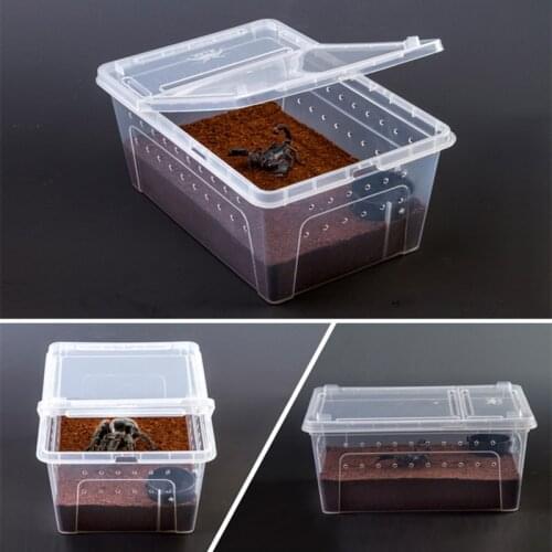 1pc Small Feeding Box Reptile Cage Hatching Container Rearing Tank for Lizards Terrarium Tortoise Spider Beetle Insect House