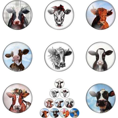 Fashion Cute Cow Head Dress Up Animal 10pcs Mixed 12mm/20mm/25mm/30mm Round Photo Glass Cabochon Demo Flat Back Making Findings