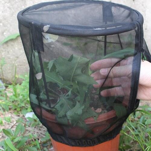 Ventilated Foldable Garden Insect Net Cage Self-supporting Flowerpot Cage Feed Insects Butterfly View Insects Shade Plants