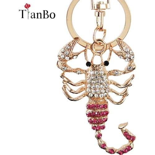 Fashion Scorpion New Cute Pendant Crystal Charm Purse Car Key Keyring Keychain Party Wedding Birthday Creative Good Gift