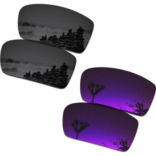 SmartVLT 2 Pairs Polarized Sunglasses Replacement Lenses for Oakley Gascan Stealth Black and Plasma Purple