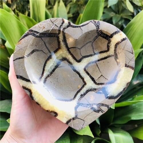 500-1000g Natural dragon septarian Crystal Ashtray Heart specimen healing