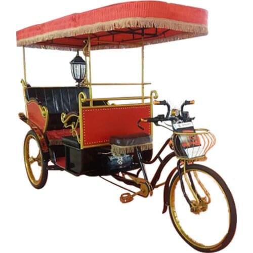 Three Wheel Electric Rickshaw Pedicab Motorized Tricycles
