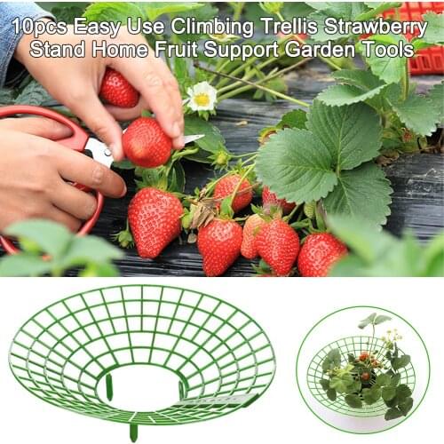10pcs Plant Easy Use Home Vine Pillar Strawberry Stand Balcony Garden Tools Green Climbing Trellis Fruit Support Durable Plastic