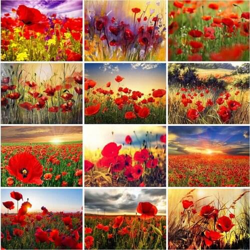 Evershine 5D DIY Diamond Painting Poppy Full Square Diamond Embroidery Flower Cross Stitch Mosaic Wall Decoration