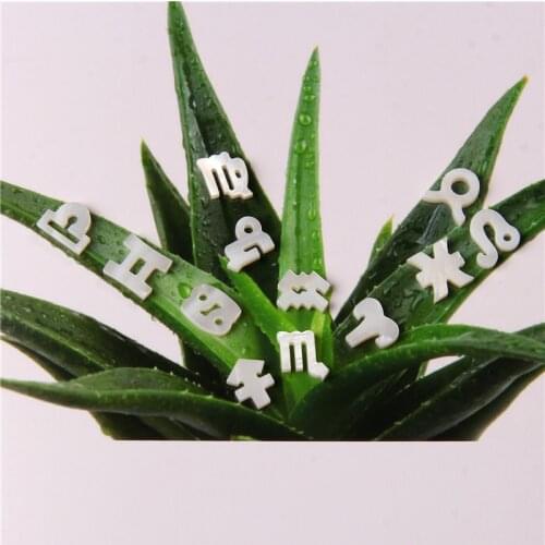 Constellation Shell Beads Pendant 9*11 mm 12 Zodiac White Freshwater Pearls Charm For DIY Making Jewelry Accessory Earrings Gift