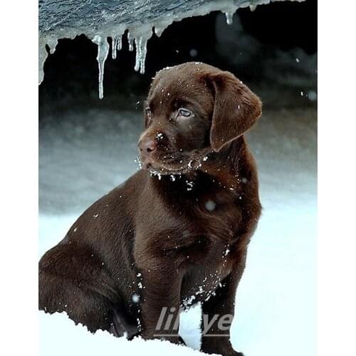 5D DIY Diamond Painting Grey Dog Full Square Round 3D Embroidery Paste Pictures of Rhinestones Cross Stitch Kit Arts Decor DF579