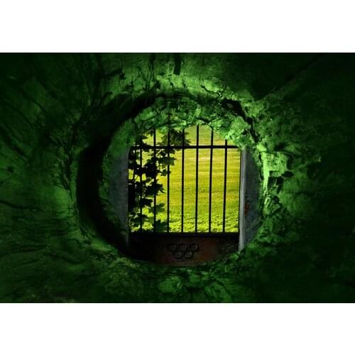 Dream fairy-tale child photo backgrounds vinyl wonderland Photography backdrops for photo Studio accessories photophone lv-839