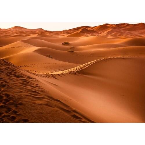 Yellow Desert Nature Scenic Photography Backdrops Vinyl Cloth Photographic Backgrounds for Children Kids Photophone Photo Studio