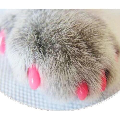 20Pcs Soft Plastic Colorful Cat Nail Caps Paw Claw Protector Cover with Glue