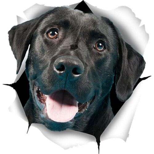 New interesting Cute Black Labrador Car Sticker Vinyl Decal Car Styling PVC 13cm X 13cm