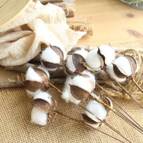 10pcs Naturally Dried Flowers Cotton Branch Artificial Flower for Wedding Bouquets Plant Fake Flowers DIY Garland Home Decor