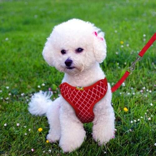 Mesh for Cat Puppy Vest Harness Breathable Dog Harness and Leash Set