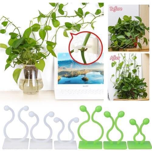 20pcs Plant Climbing Wall Fixture Clips Invisible Vines Self Adhesive Sticky Hook Fixer Support Holder Home Decoration