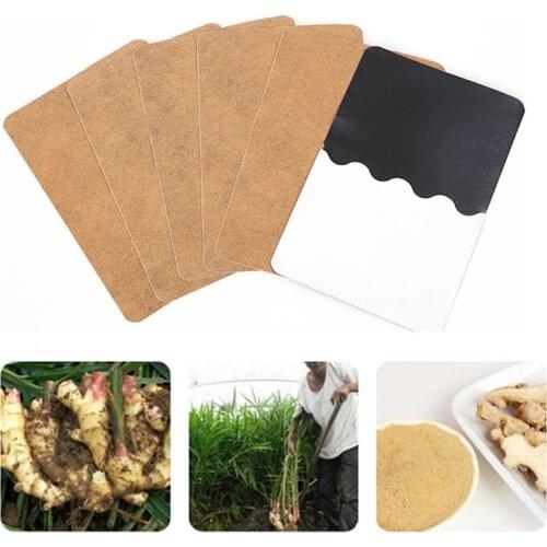 50Pcs Patches Ginger Detox Patch Body Neck Knee Pad Herbal Pain Relief Health Care Chinese Ginger Herbal Adhesive Pads