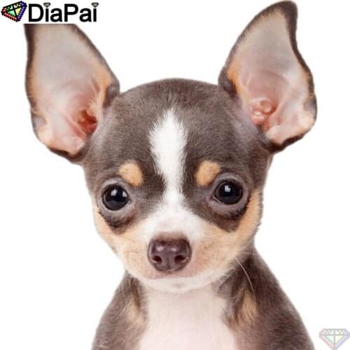 DIAPAI Diamond Painting "Animal dog" Cross Stitch Custom Photo Diamond Embroidery Square Round Drill Home Decor A26168