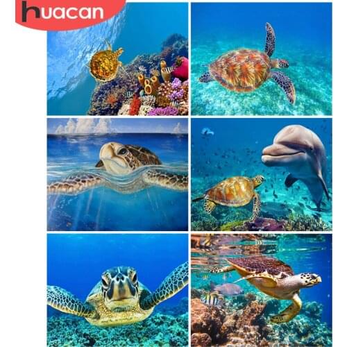 HUACAN 5D DIY Picture By Numbers Turtle Unique Gift Wall Art HandPainted Paint By Number Animal Childrens Room Decor