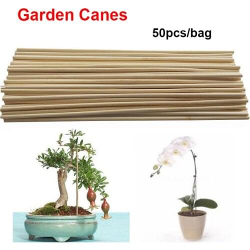 50pcs Wooden Plant Grow Support Bamboo Plant Sticks for Flower Stick Cane Stand