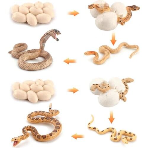 Snake Toy Realistic Novelty Assorted Figurine Cobra Toy Model Stress Relief Venting Joking Decompression Funny Toys for Children