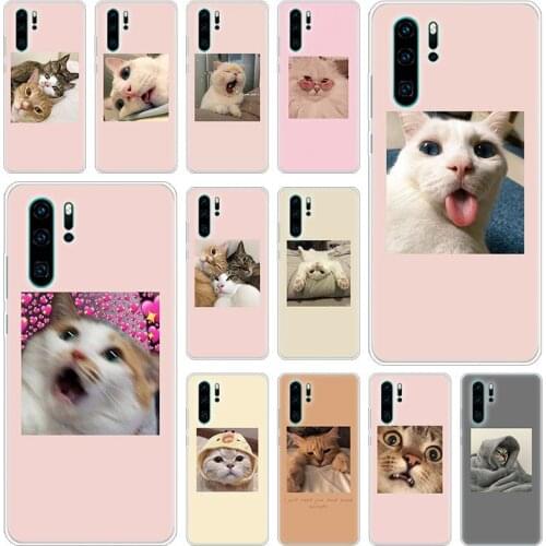 Cute Cat Kitten Catling Silicone Phone Case for Huawei P50 P40 Pro P30 Lite P20 Pro P8 Lite 2017 P Smart Z 2020 2021 Soft Cover