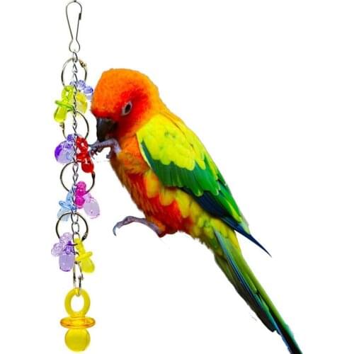 1pc Bird Chew Toy Anti-Biting Acrylic Parakeet Nipple Bite Toy Parrot Hanging Toy Pet Supplies Bird Favors