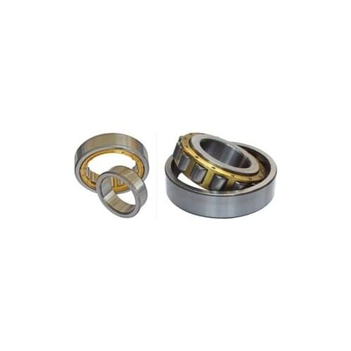 Gcr15 NJ2306 EM or NJ2306 ECM (30x72x27mm)Brass Cage Cylindrical Roller Bearings ABEC-1,P0
