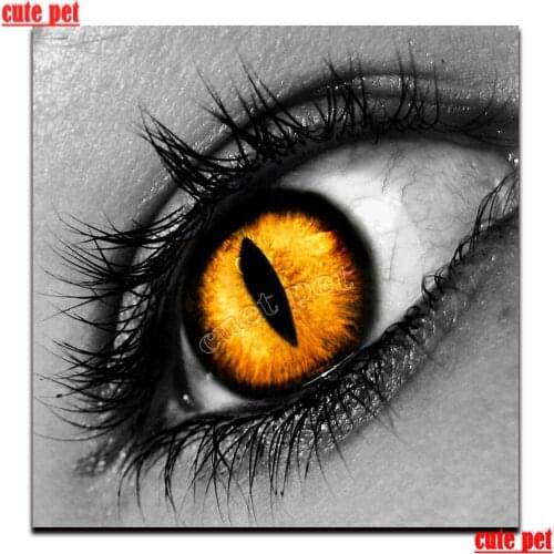 5d diy Diamond Painting Veterinary eyes full drill Cross Stitch Diamond embroidery crystal sale diamond mosaic home decoration